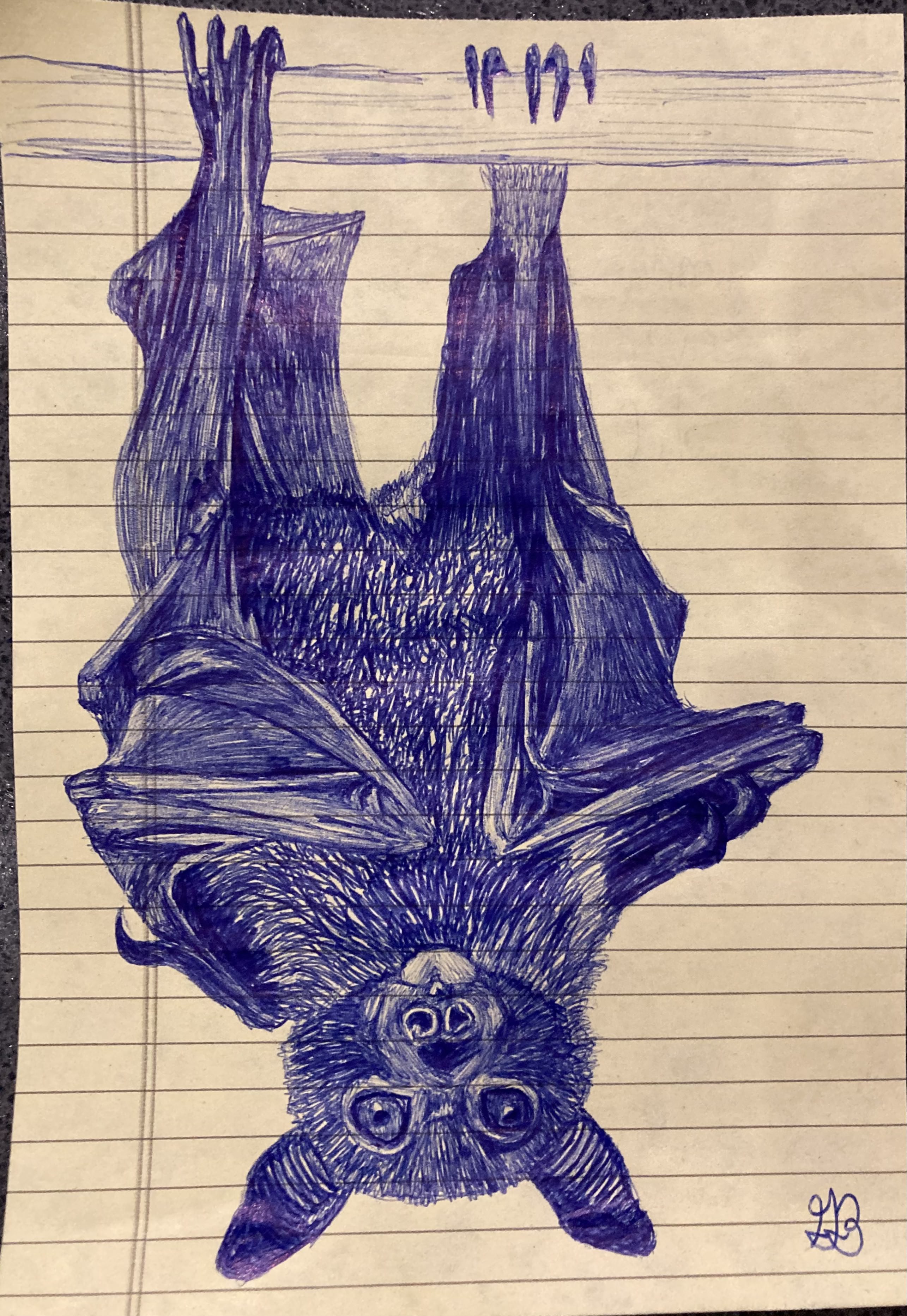 bat drawing