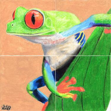 frog in oil pastel